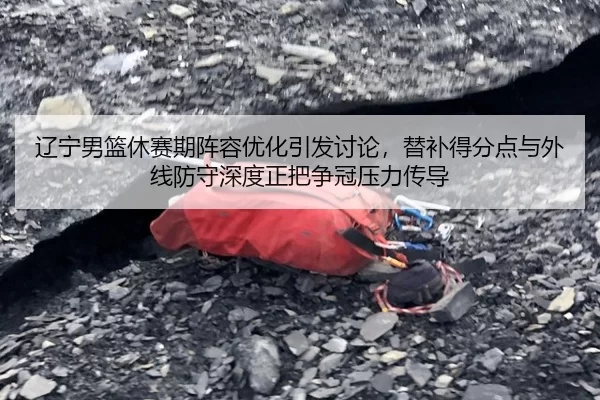 辽宁男篮休赛期阵容优化引发讨论，替补得分点与外线防守深度正把争冠压力传导